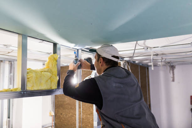 Best Insulation Repair Services  in USA